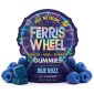 Ferris Wheel Kanna Mood Gummies 10pc - Blue Razz