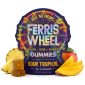 Ferris Wheel Kanna Mood Gummies 10pc - Sour Tropical