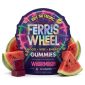 Ferris Wheel Kanna Mood Gummies 10pc - Watermelon