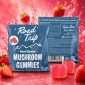 Road Trip Desert Stardust Mushroom Gummies 2pk - Strawberry