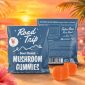 Road Trip Desert Stardust Mushroom Gummies 2pk - Sunset Punch