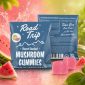 Road Trip Desert Stardust Mushroom Gummies 2pk - Watermelon