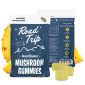 Road Trip Desert Stardust Mushroom Gummies 8pk - Pineapple