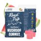 Road Trip Desert Stardust Mushroom Gummies 8pk - Watermelon